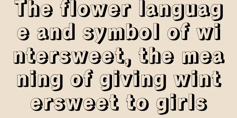 The flower language and symbol of wintersweet, the meaning of giving wintersweet to girls