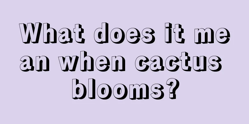 What does it mean when cactus blooms?