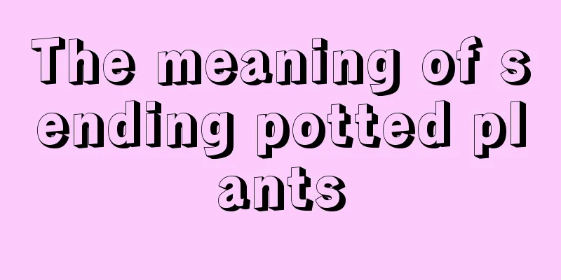 The meaning of sending potted plants