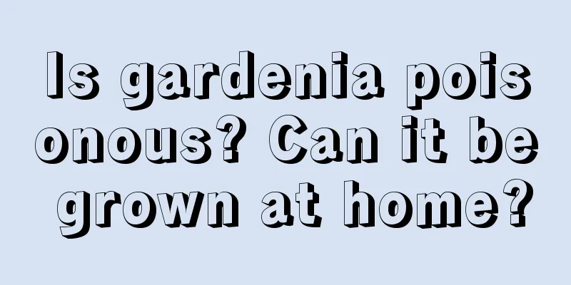 Is gardenia poisonous? Can it be grown at home?