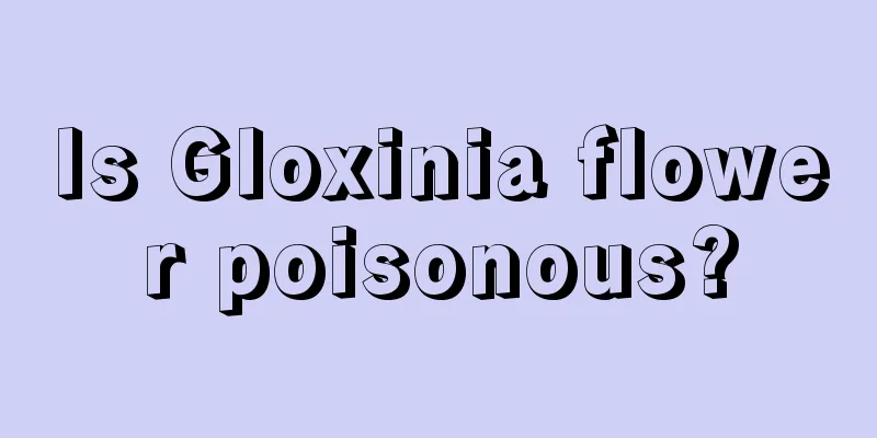 Is Gloxinia flower poisonous?