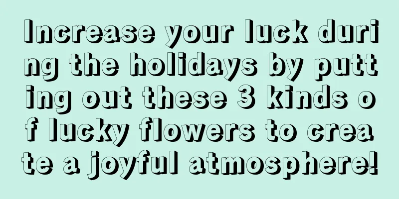 Increase your luck during the holidays by putting out these 3 kinds of lucky flowers to create a joyful atmosphere!