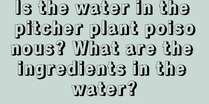 Is the water in the pitcher plant poisonous? What are the ingredients in the water?