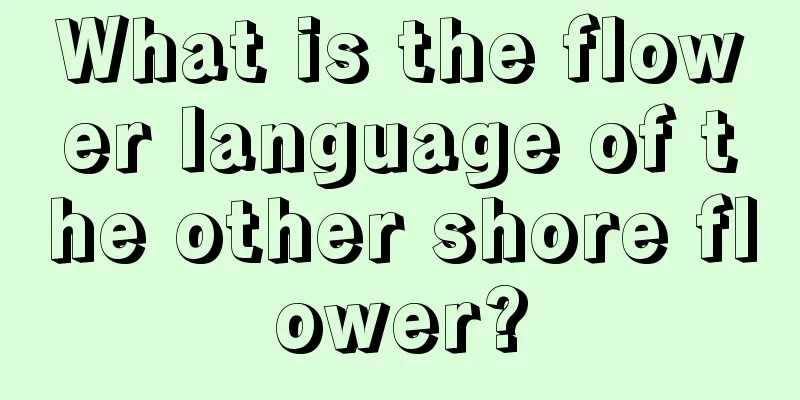 What is the flower language of the other shore flower?