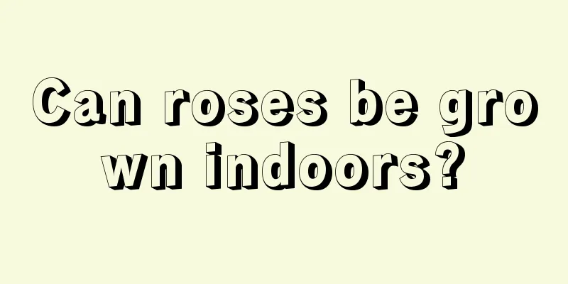 Can roses be grown indoors?