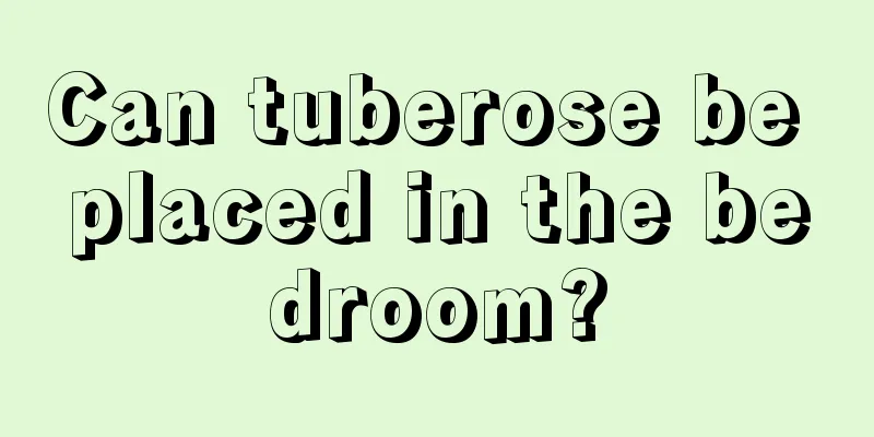 Can tuberose be placed in the bedroom?