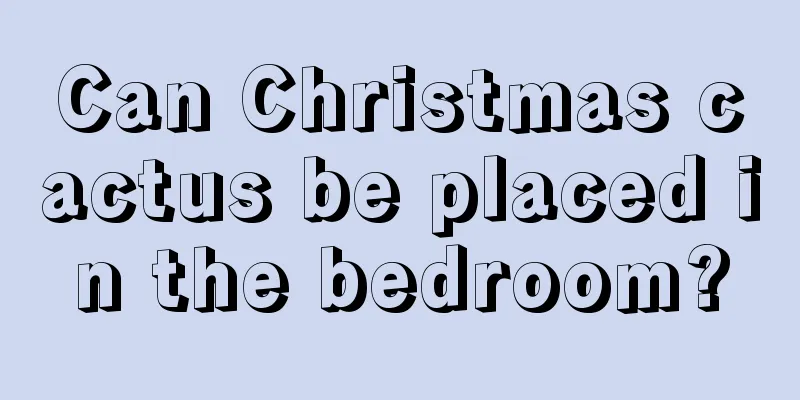 Can Christmas cactus be placed in the bedroom?