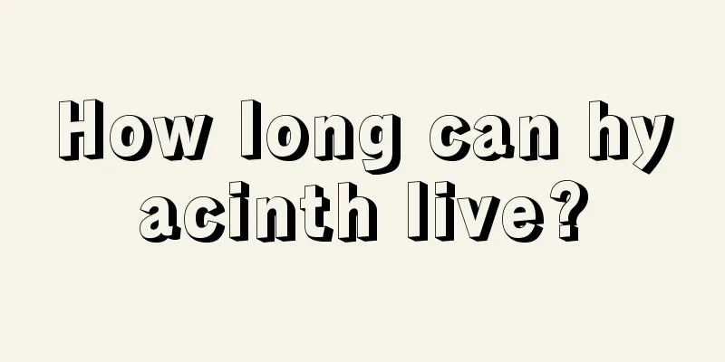 How long can hyacinth live?