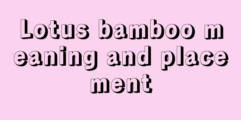 Lotus bamboo meaning and placement