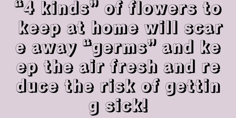 “4 kinds” of flowers to keep at home will scare away “germs” and keep the air fresh and reduce the risk of getting sick!