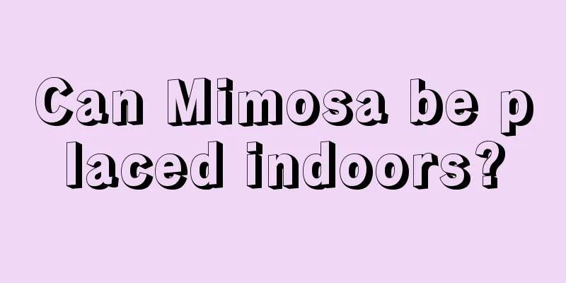 Can Mimosa be placed indoors?