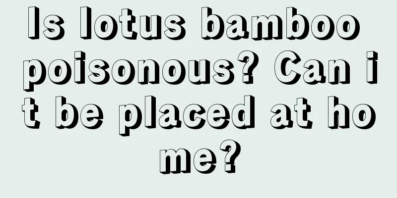 Is lotus bamboo poisonous? Can it be placed at home?