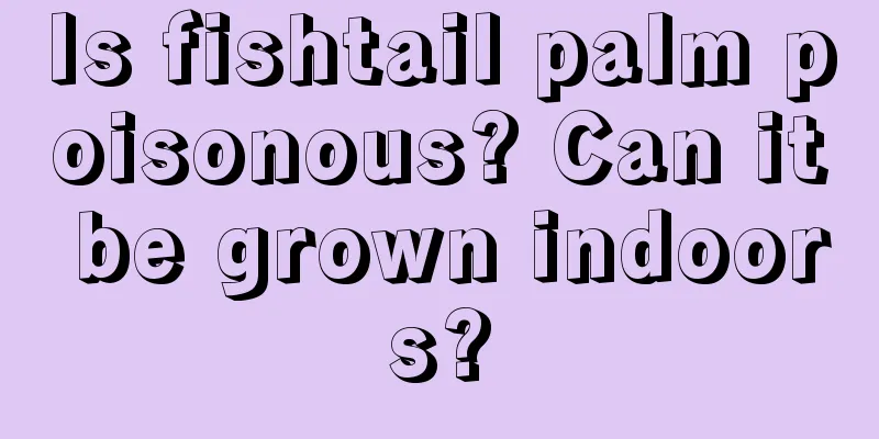 Is fishtail palm poisonous? Can it be grown indoors?