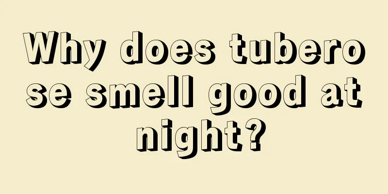 Why does tuberose smell good at night?