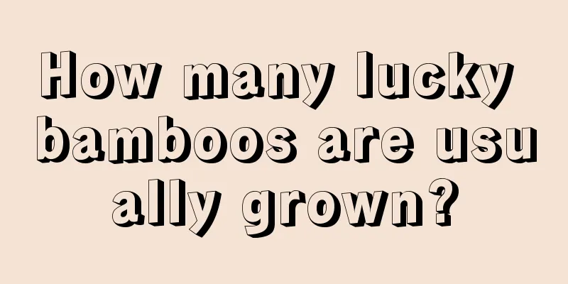 How many lucky bamboos are usually grown?