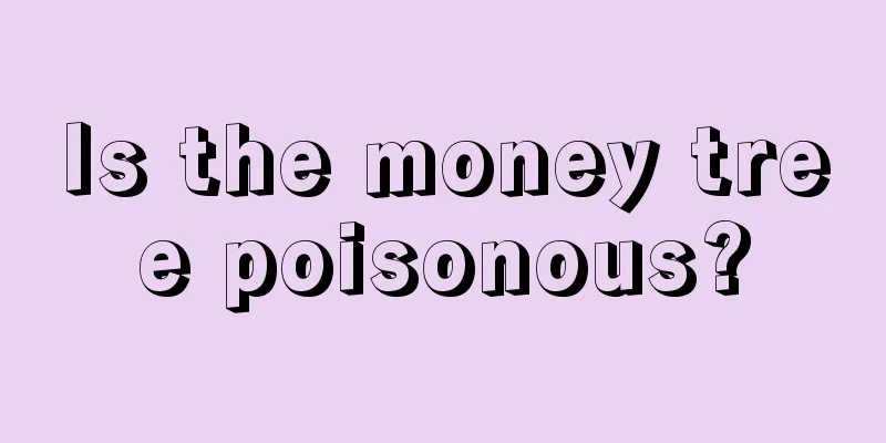 Is the money tree poisonous?