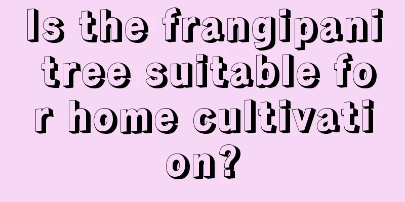 Is the frangipani tree suitable for home cultivation?