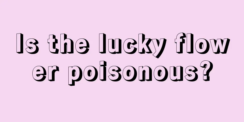 Is the lucky flower poisonous?