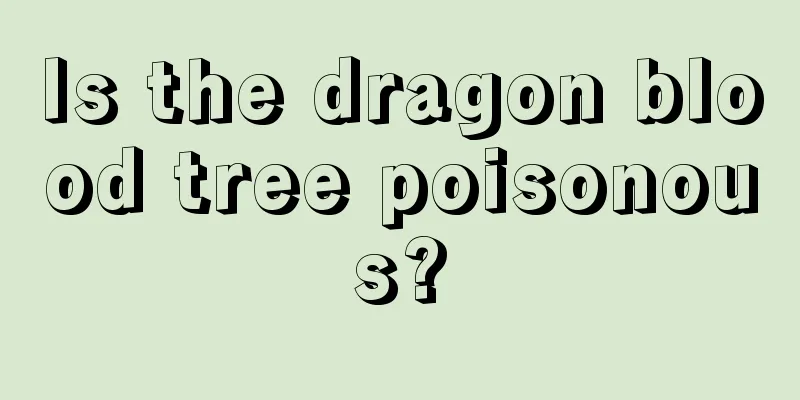 Is the dragon blood tree poisonous?