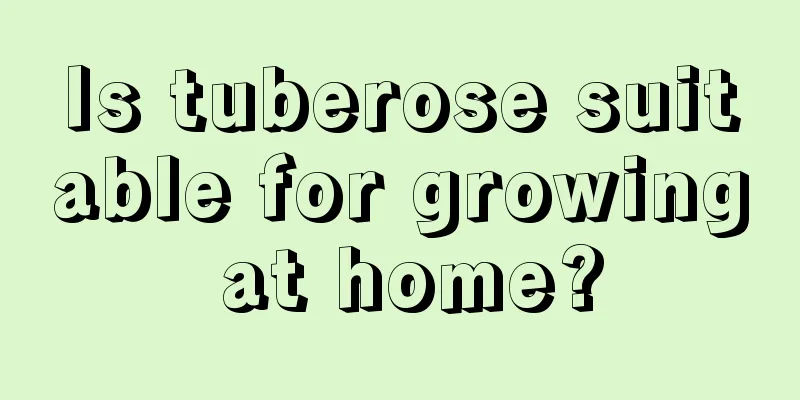 Is tuberose suitable for growing at home?