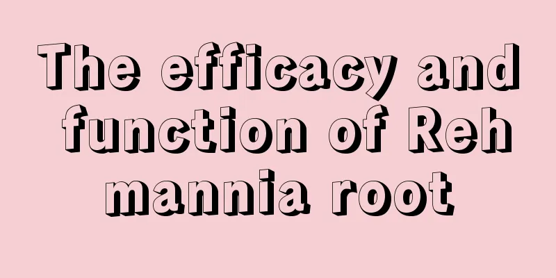 The efficacy and function of Rehmannia root