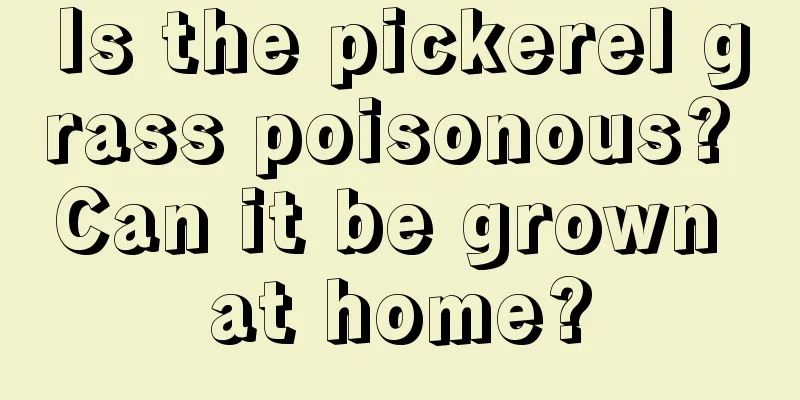 Is the pickerel grass poisonous? Can it be grown at home?