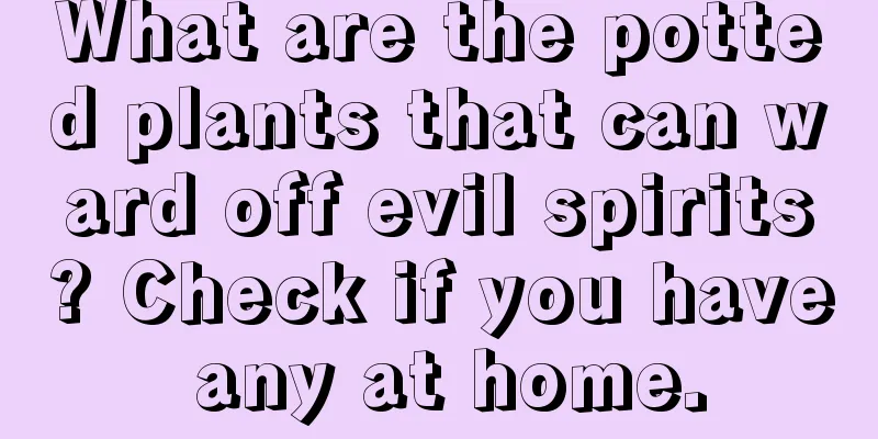 What are the potted plants that can ward off evil spirits? Check if you have any at home.