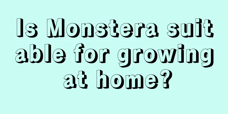 Is Monstera suitable for growing at home?