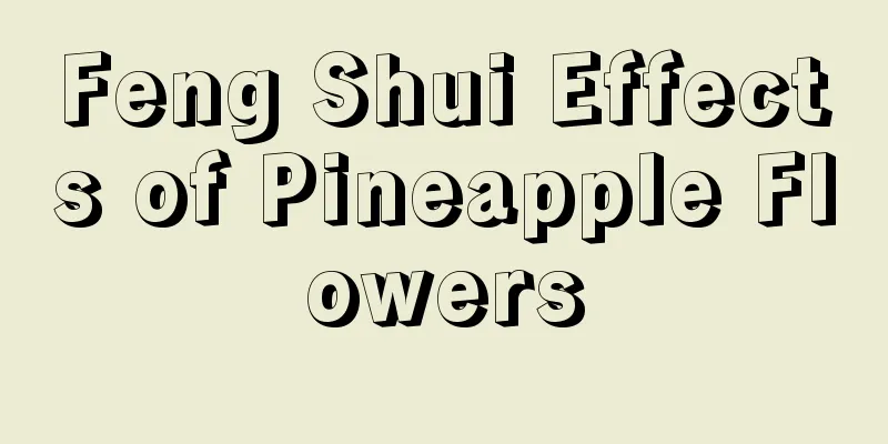 Feng Shui Effects of Pineapple Flowers