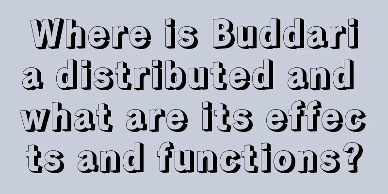 Where is Buddaria distributed and what are its effects and functions?