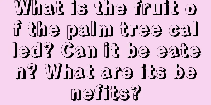 What is the fruit of the palm tree called? Can it be eaten? What are its benefits?