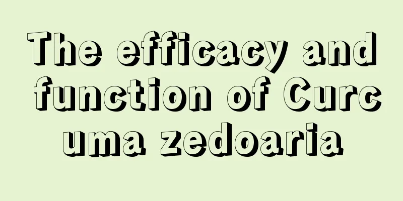 The efficacy and function of Curcuma zedoaria