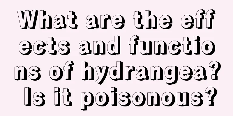 What are the effects and functions of hydrangea? Is it poisonous?