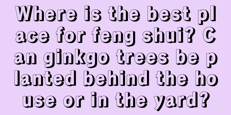 Where is the best place for feng shui? Can ginkgo trees be planted behind the house or in the yard?