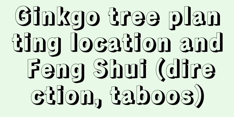 Ginkgo tree planting location and Feng Shui (direction, taboos)