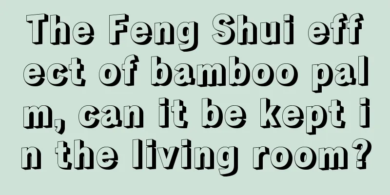 The Feng Shui effect of bamboo palm, can it be kept in the living room?