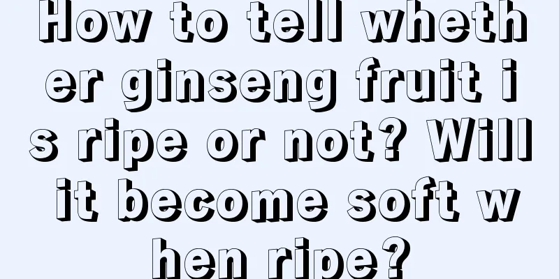 How to tell whether ginseng fruit is ripe or not? Will it become soft when ripe?