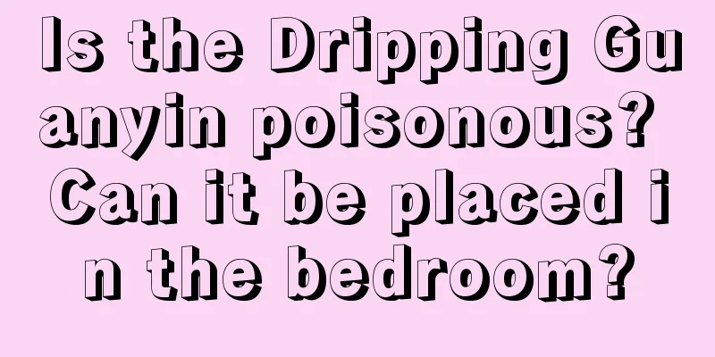 Is the Dripping Guanyin poisonous? Can it be placed in the bedroom?