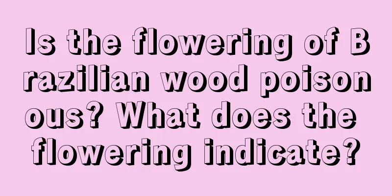 Is the flowering of Brazilian wood poisonous? What does the flowering indicate?