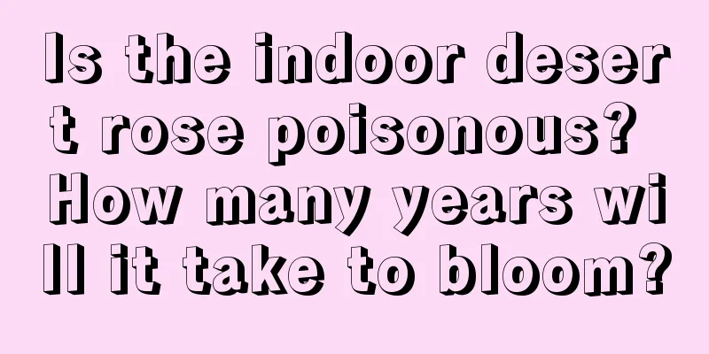 Is the indoor desert rose poisonous? How many years will it take to bloom?