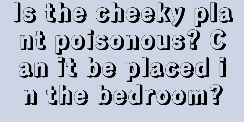 Is the cheeky plant poisonous? Can it be placed in the bedroom?