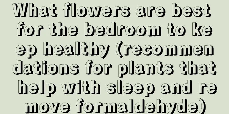 What flowers are best for the bedroom to keep healthy (recommendations for plants that help with sleep and remove formaldehyde)