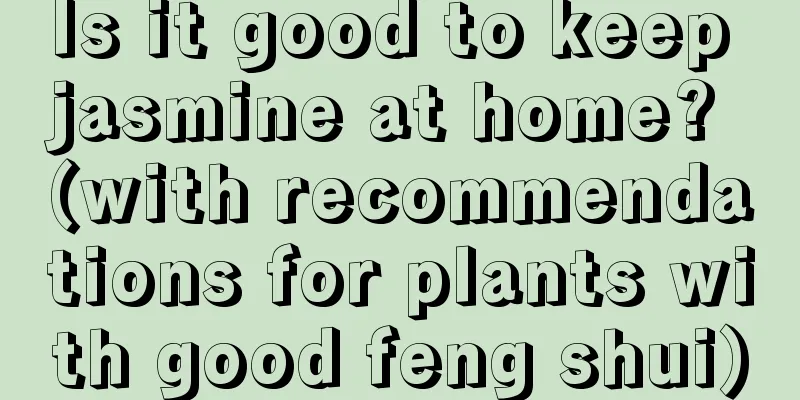 Is it good to keep jasmine at home? (with recommendations for plants with good feng shui)