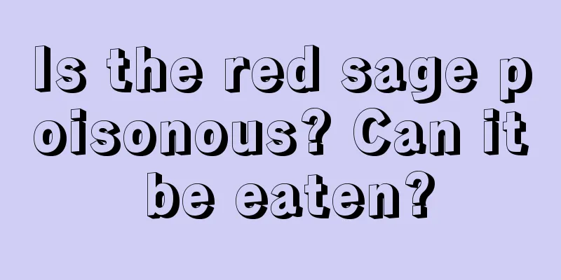 Is the red sage poisonous? Can it be eaten?