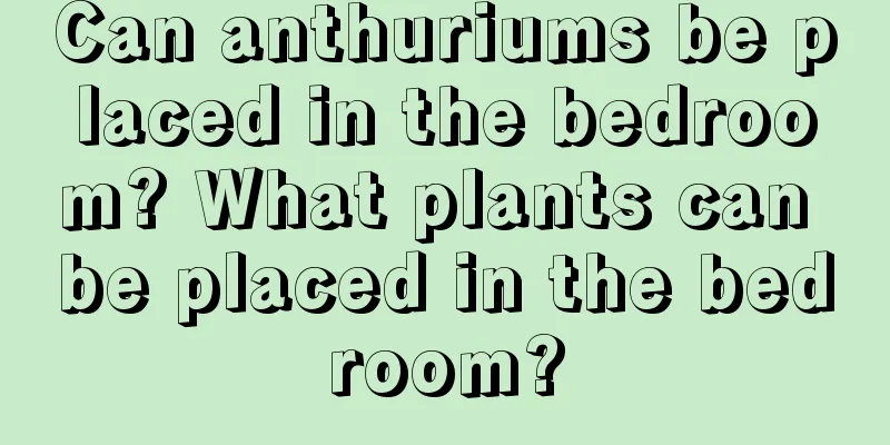 Can anthuriums be placed in the bedroom? What plants can be placed in the bedroom?