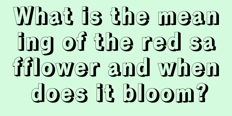 What is the meaning of the red safflower and when does it bloom?