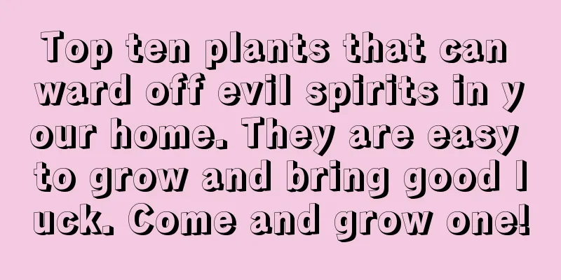 Top ten plants that can ward off evil spirits in your home. They are easy to grow and bring good luck. Come and grow one!