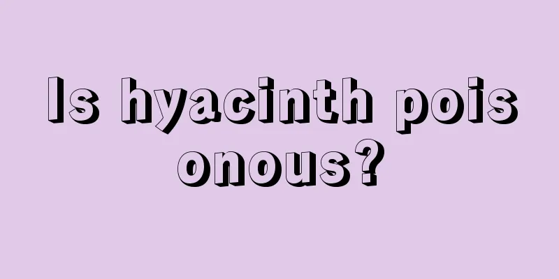 Is hyacinth poisonous?