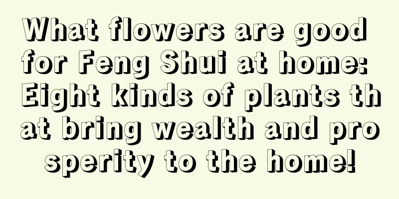 What flowers are good for Feng Shui at home: Eight kinds of plants that bring wealth and prosperity to the home!