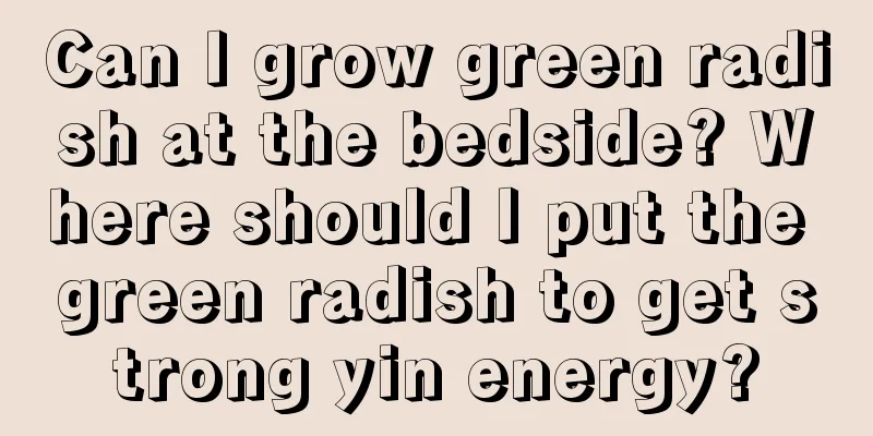 Can I grow green radish at the bedside? Where should I put the green radish to get strong yin energy?